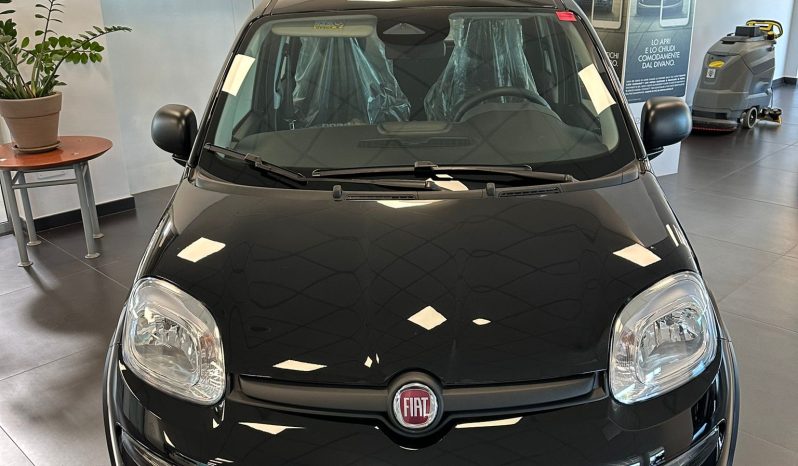 FIAT NUOVA PANDINA KM 0 2024 pieno