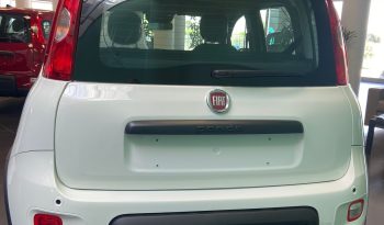 FIAT NUOVA PANDINA KM 0 2024 pieno