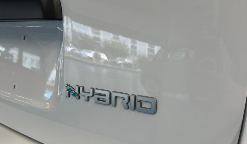 LA GRINTA DELLA CROSS, IL RISPARMIO DELL’HYBRID! pieno