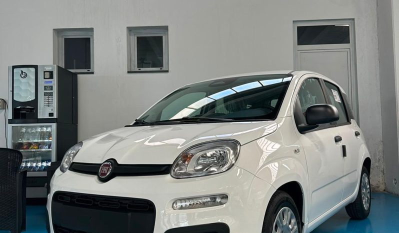 KM ZERO E TUTTA DA SCOPRIRE: PANDINA ICON 2026! pieno
