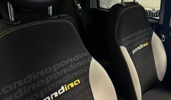 Stile Cross, anima Hybrid: scopri la Pandina! pieno