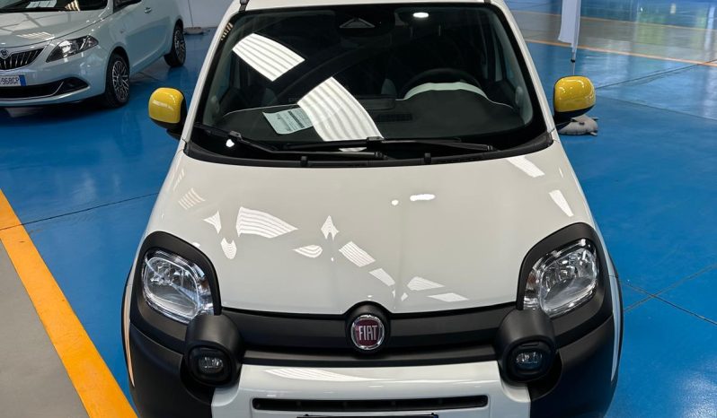 NON È LA SOLITA PANDA: È PANDINA CROSS! pieno
