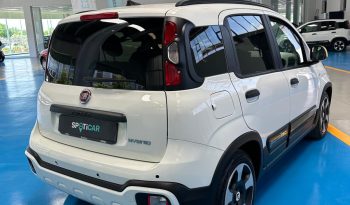 NON È LA SOLITA PANDA: È PANDINA CROSS! pieno