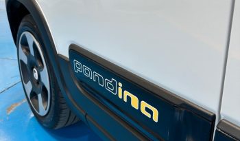 NON È LA SOLITA PANDA: È PANDINA CROSS! pieno